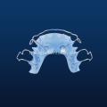 Dental Teeth Orthodontic Appliance